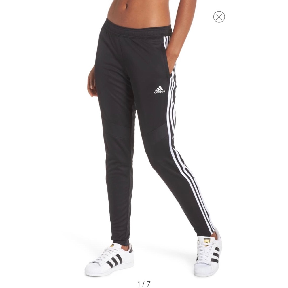 Adidas tiro 19 training pants
